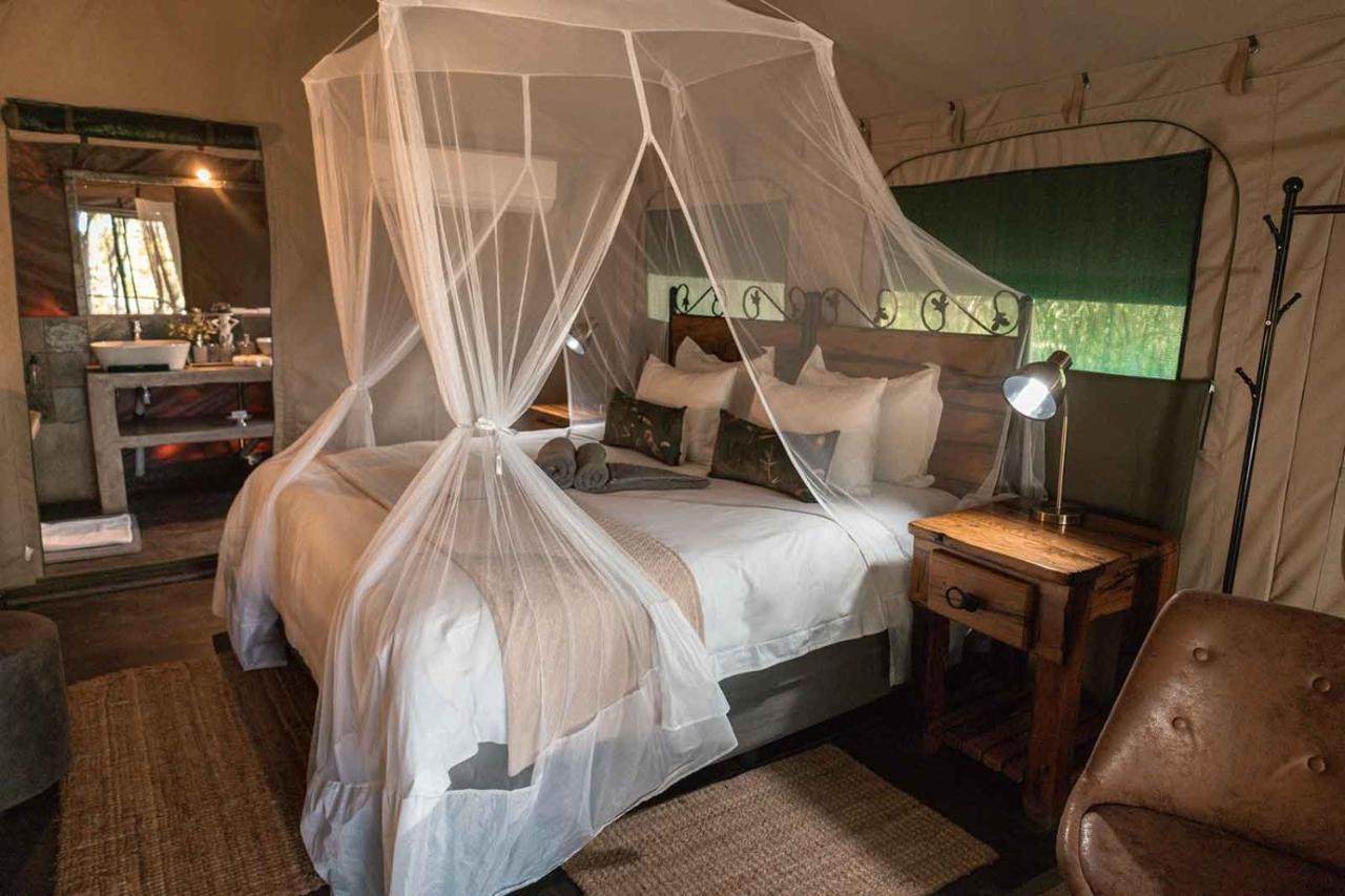 Umkumbe Bush Lodge - Luxury Tented Camp Sabi Sand Vadrezervátum Kültér fotó