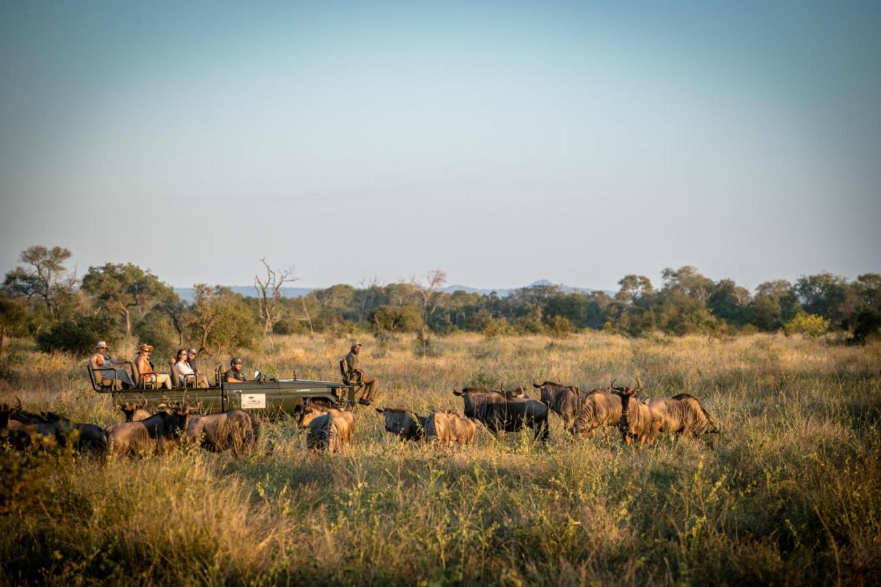 Umkumbe Bush Lodge - Luxury Tented Camp Sabi Sand Vadrezervátum Kültér fotó