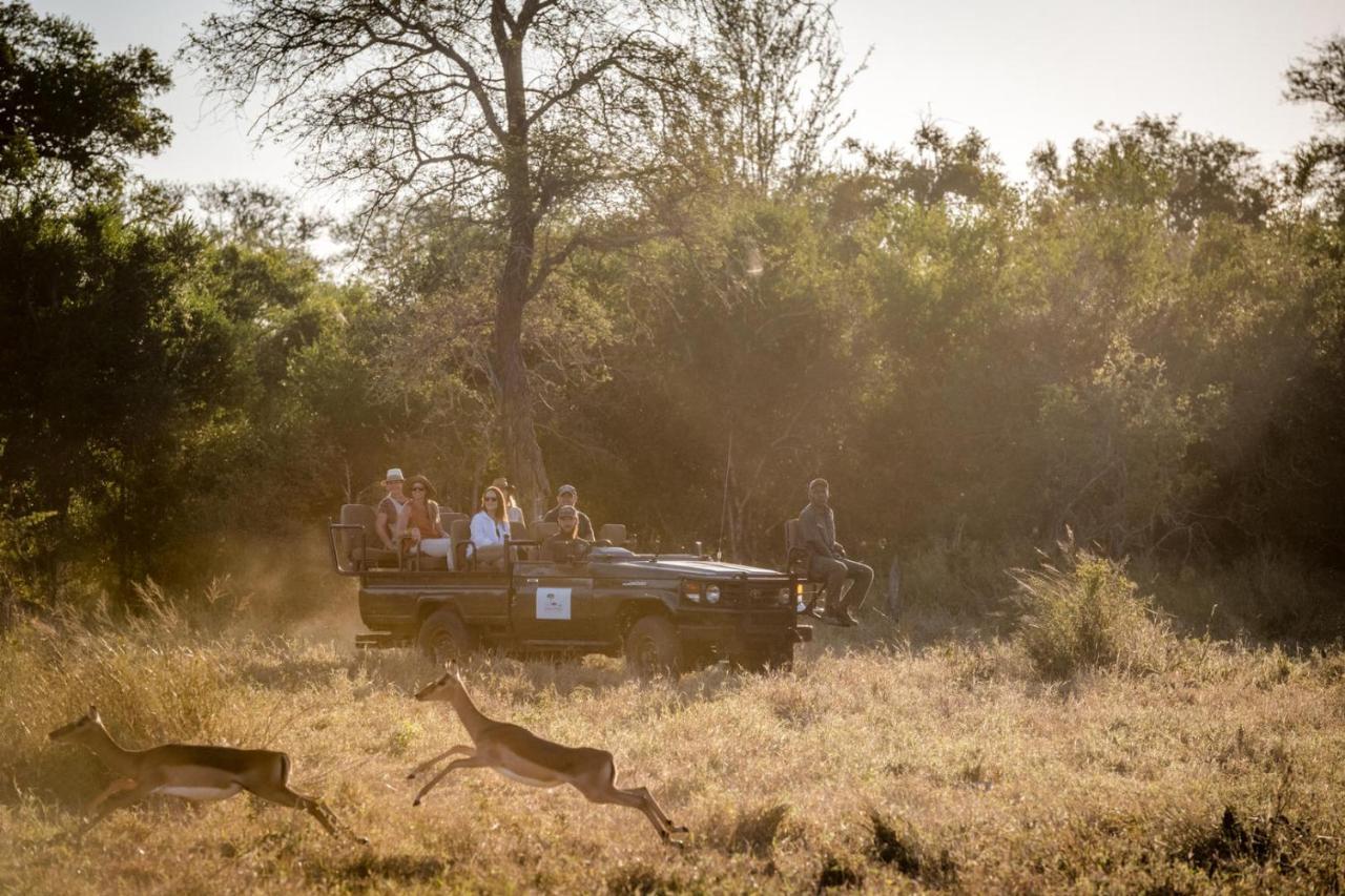 Umkumbe Bush Lodge - Luxury Tented Camp Sabi Sand Vadrezervátum Kültér fotó