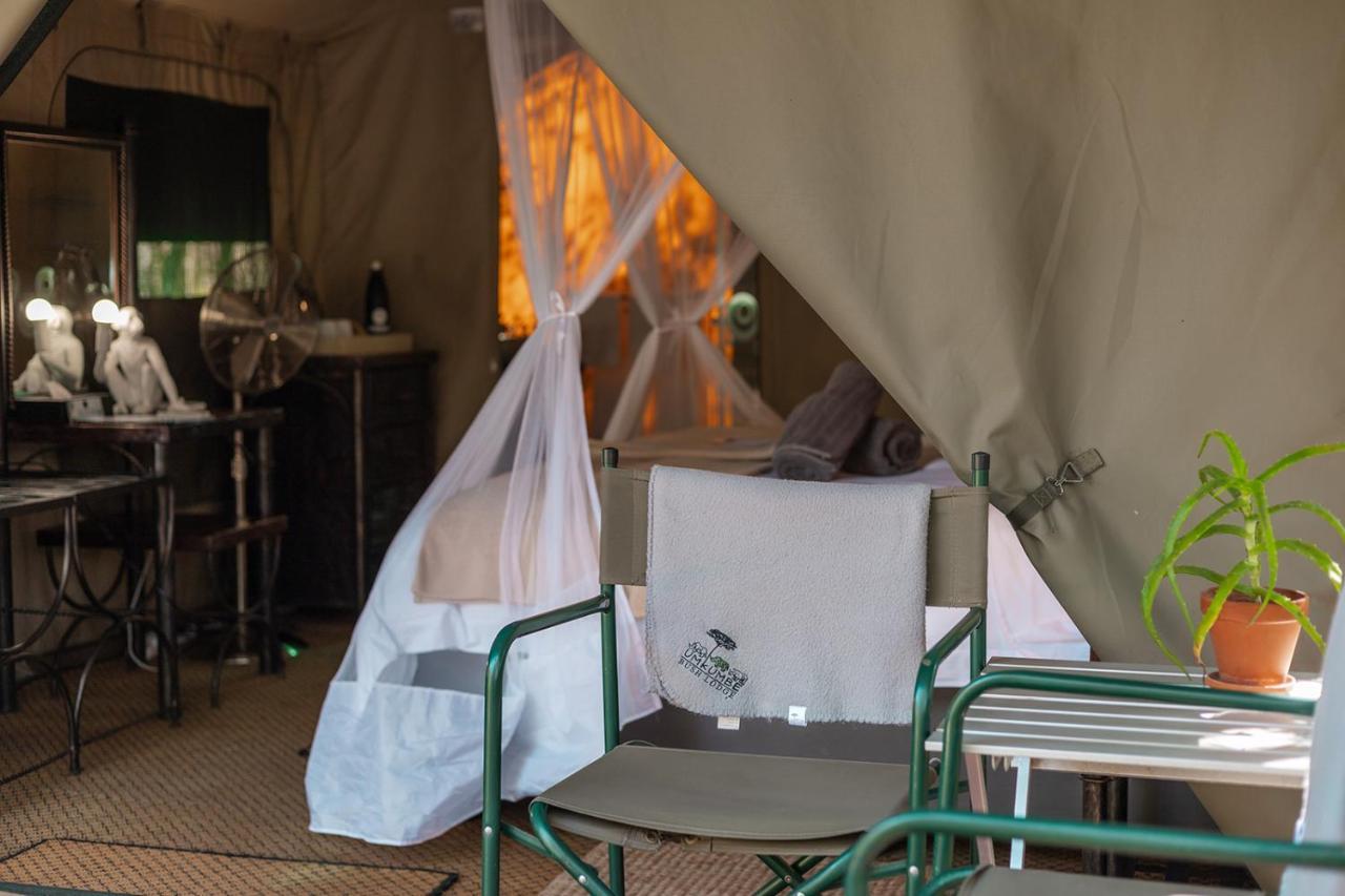 Umkumbe Bush Lodge - Luxury Tented Camp Sabi Sand Vadrezervátum Kültér fotó