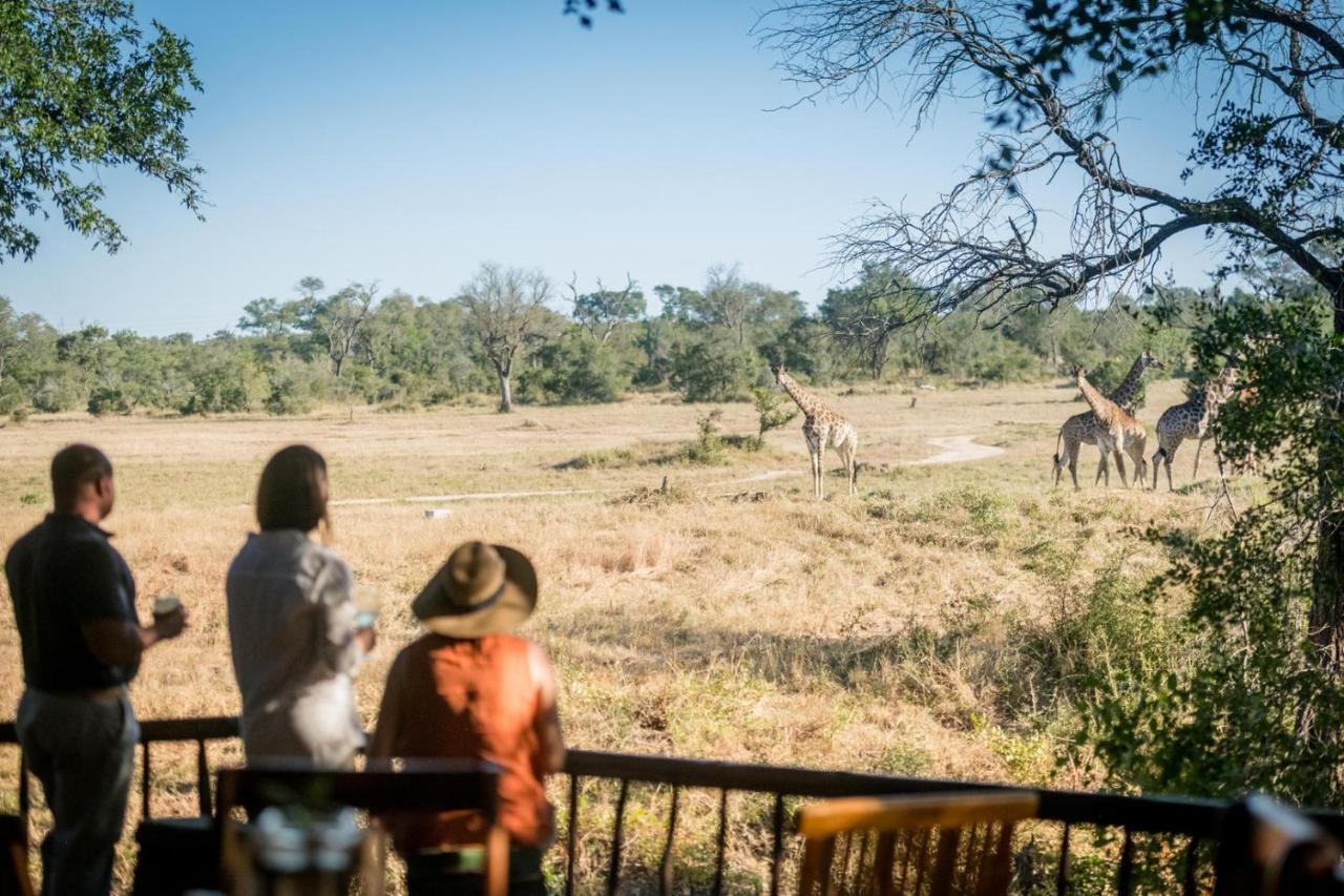Umkumbe Bush Lodge - Luxury Tented Camp Sabi Sand Vadrezervátum Kültér fotó
