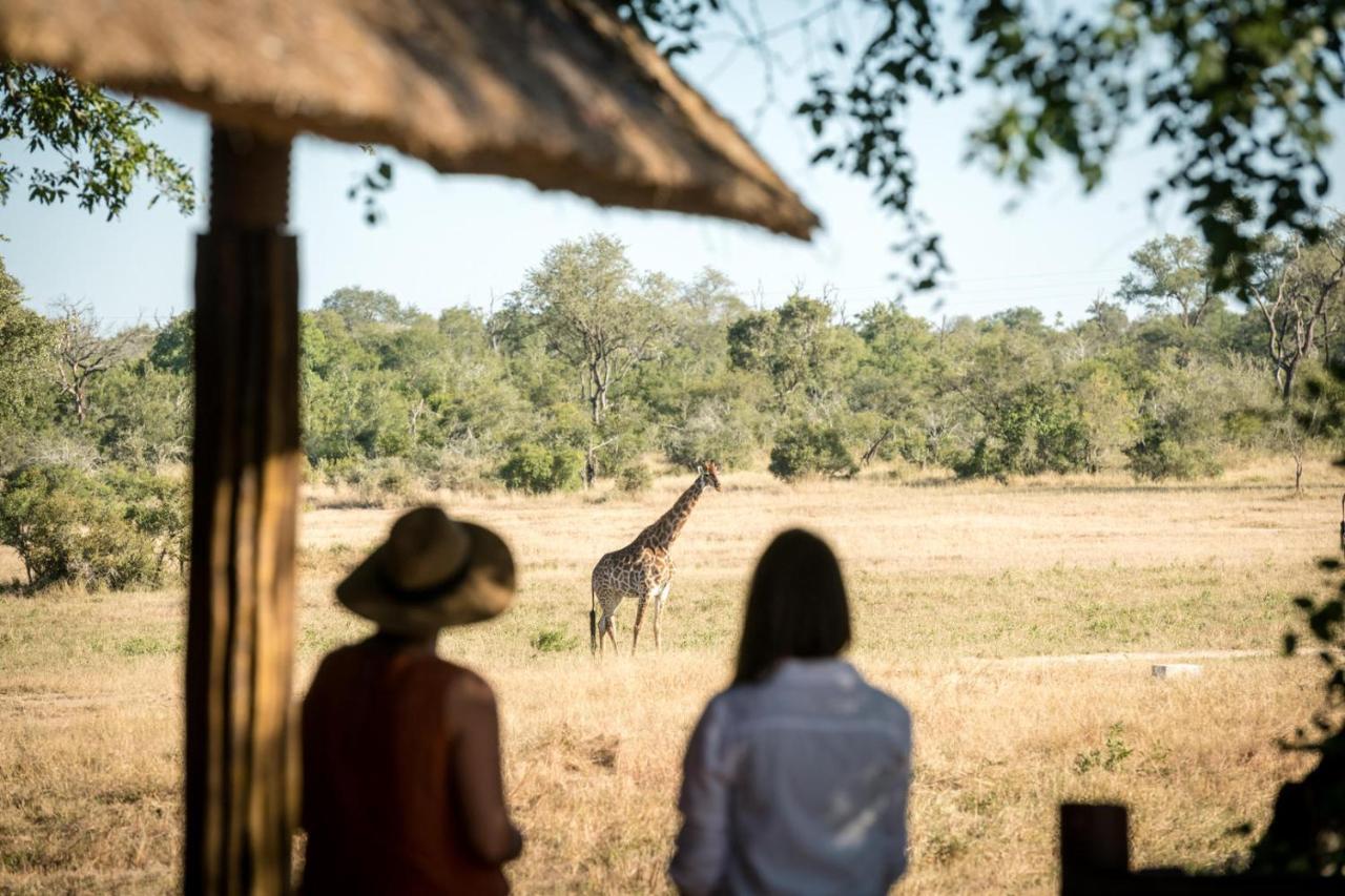 Umkumbe Bush Lodge - Luxury Tented Camp Sabi Sand Vadrezervátum Kültér fotó